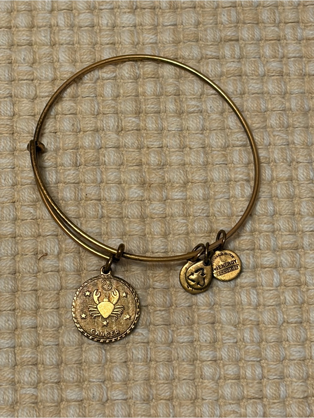 Alex and Ani Gold-Tone Cancer Zodiac Charm Bracelet